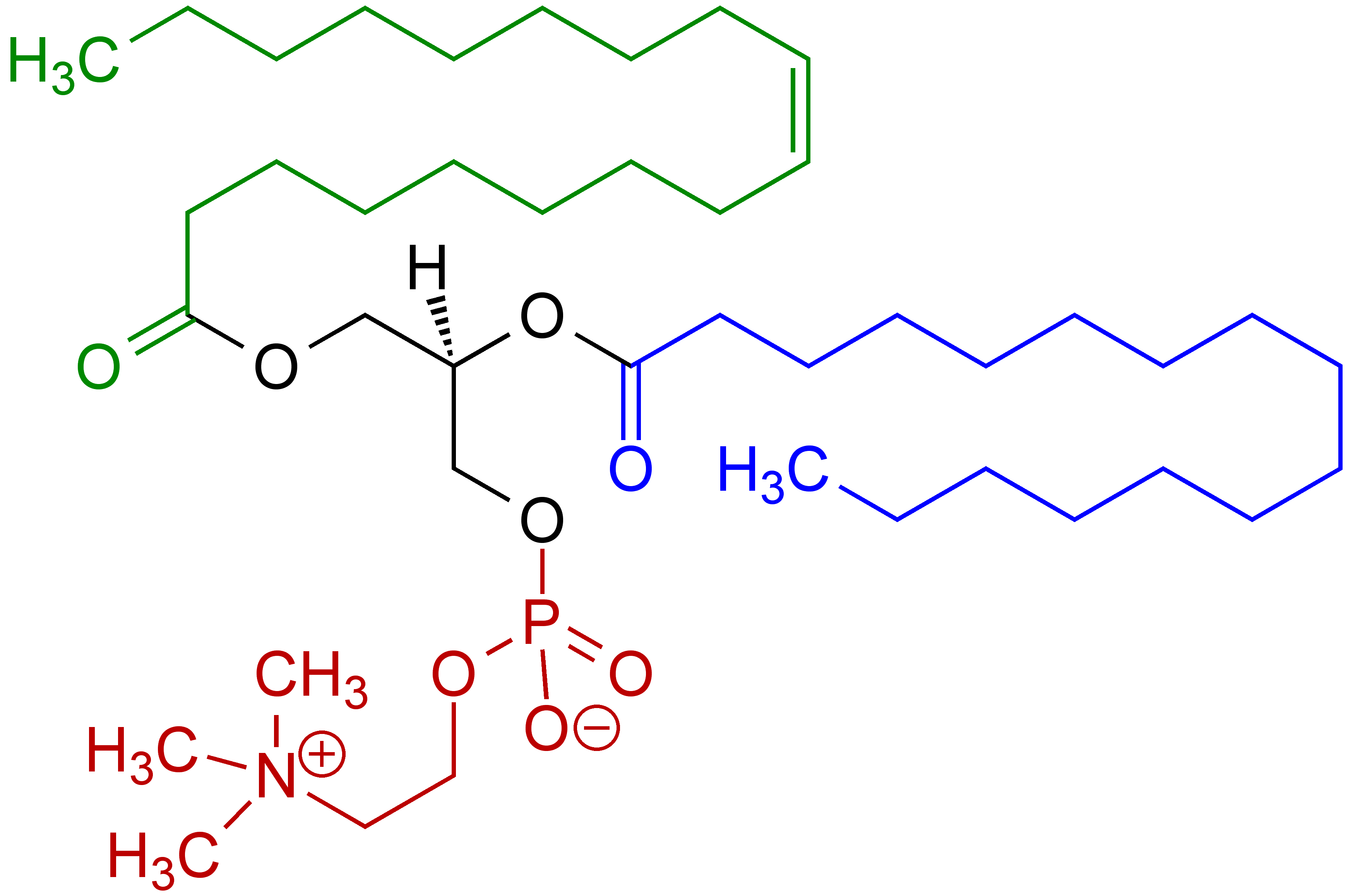 The Myths and Facts Behind Lecithin Market