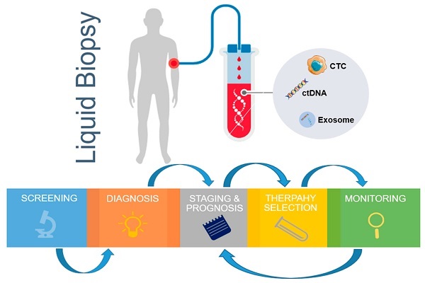 Tackling Cancer with Liquid Biopsy: A Comprehensive Guide