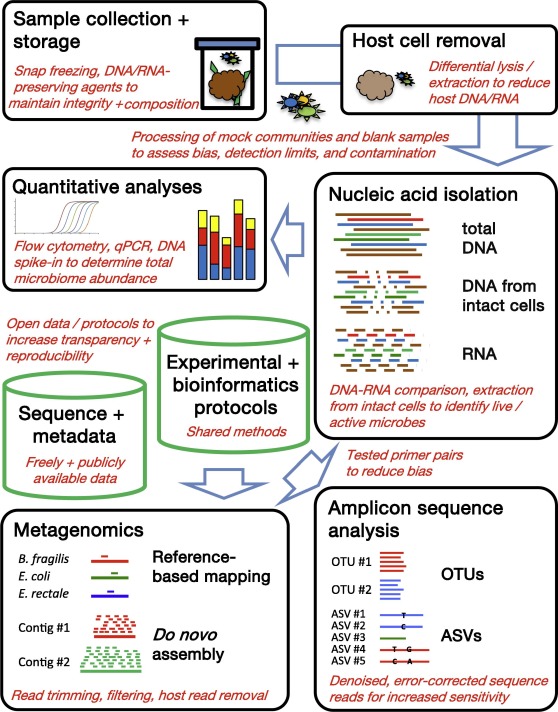 Microbiome Sequencing