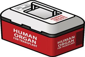 Organ Care Products Market
