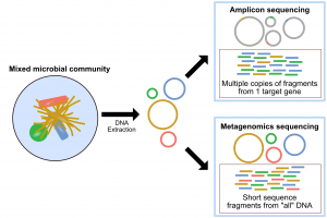 Metagenomic Sequencing Market