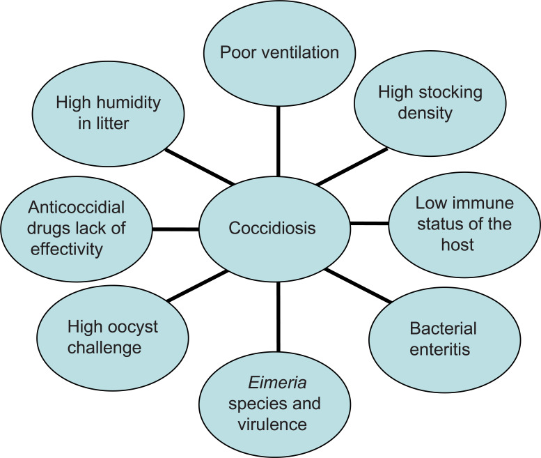 Anticoccidial Drugs