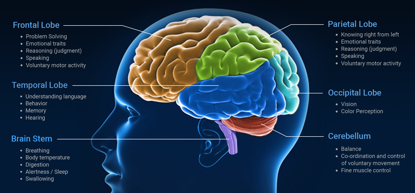 Traumatic brain injuries assessment